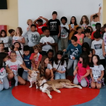 Dia do Animal assinalado nas escolas da freguesia de São Domingos de Rana